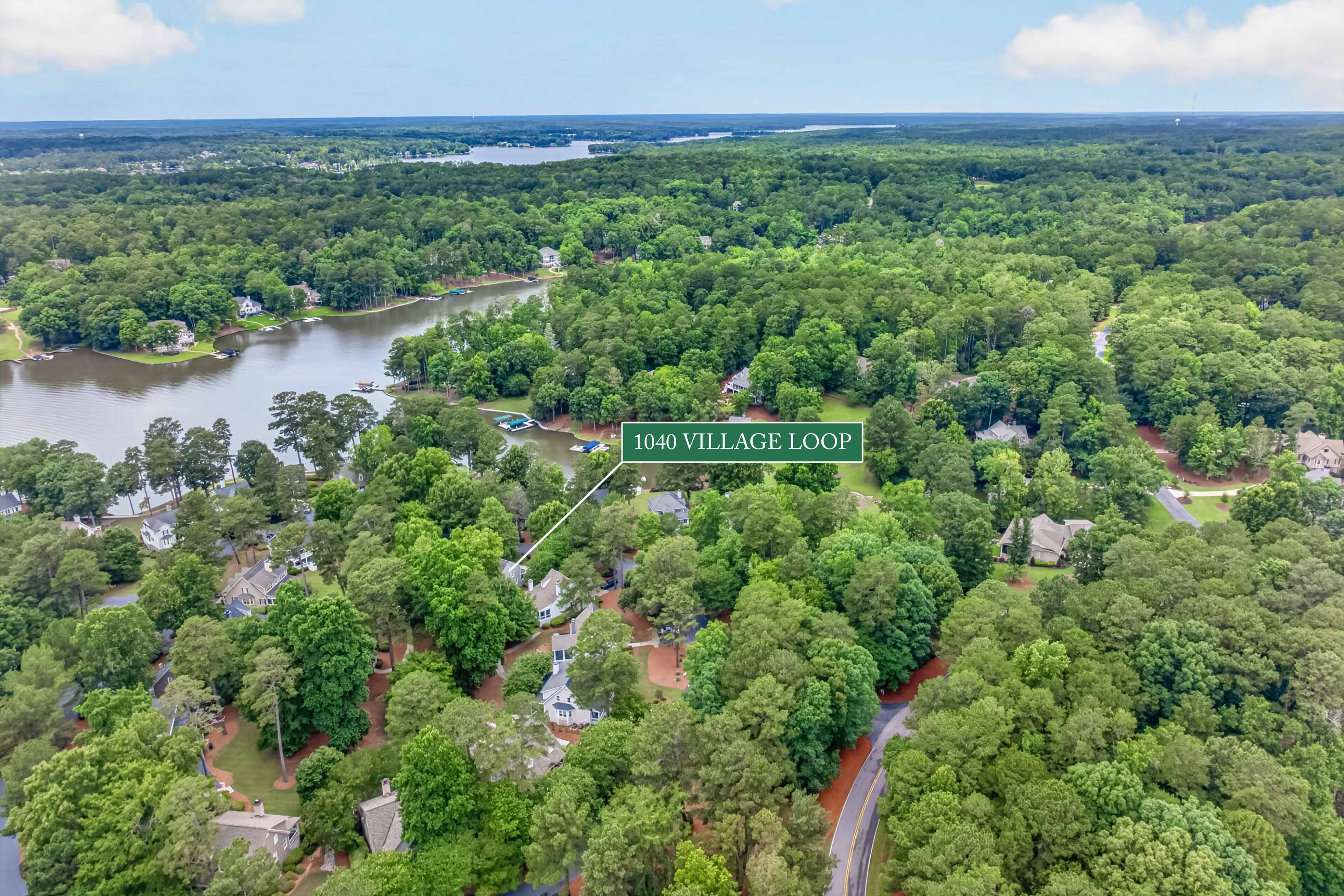 1040 Village Loop image 38